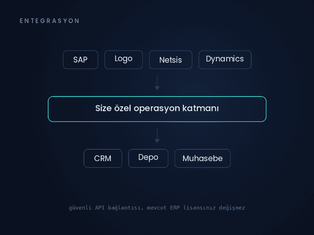 ERP ve Mevcut Sistemlerinizle Entegrasyon