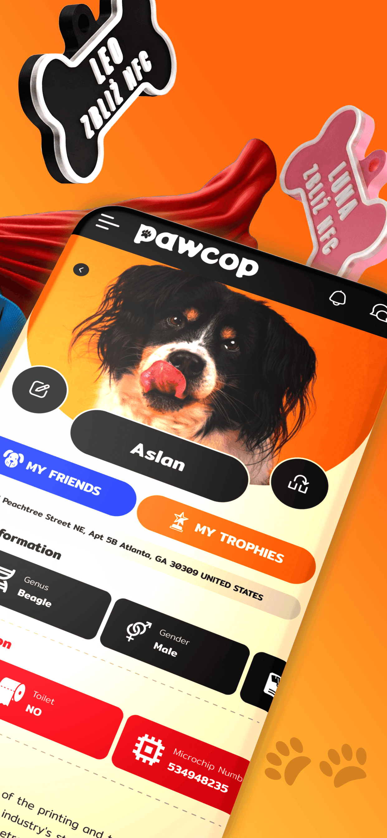 Pawcop evcil hayvan kimlik kartı: künye bilgileri, sahip iletişimi ve NFC etiket numarası