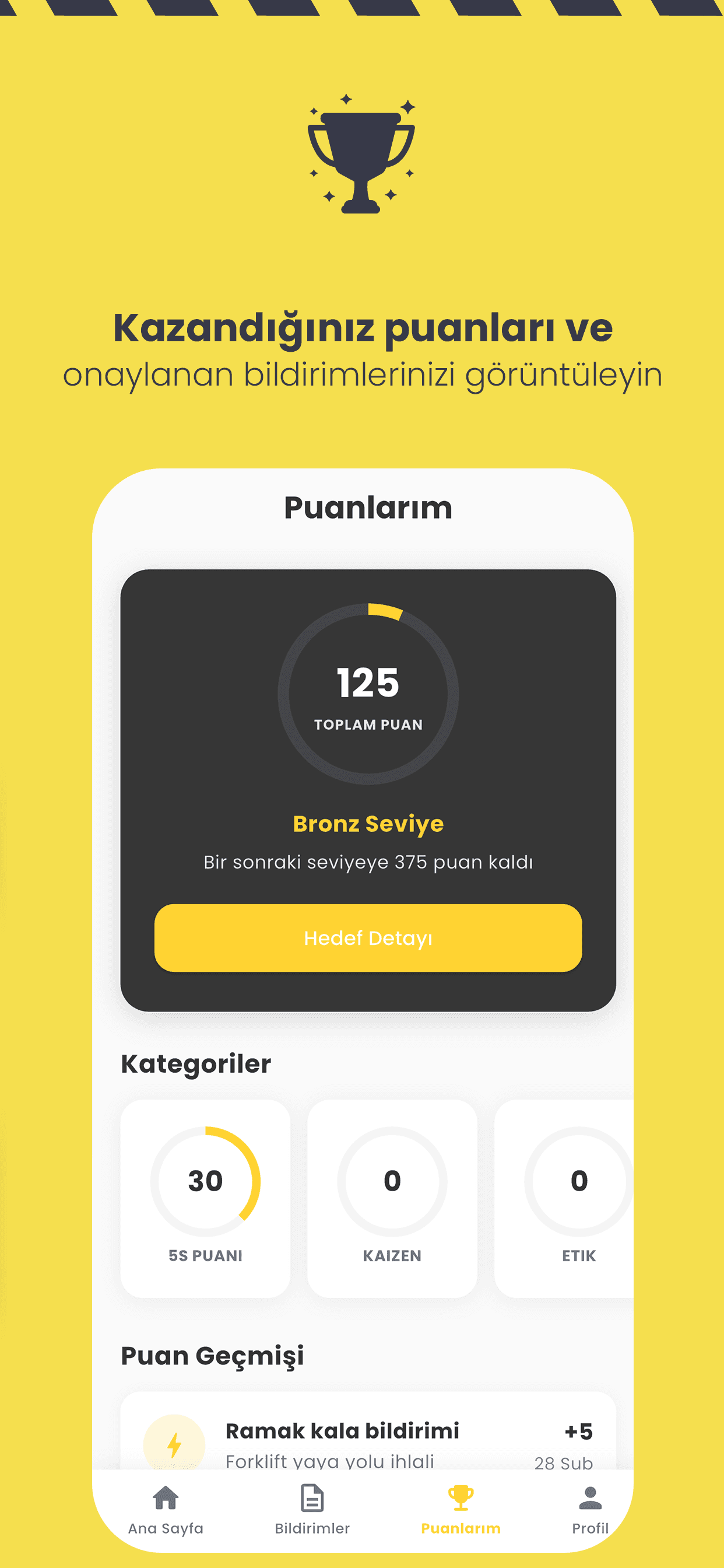 RiskConnect: toplam puan, seviye, 5S ve Kaizen kategori kırılımı ve puan geçmişi