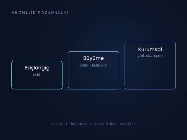 Abonelik ve Gelir Mimarisi