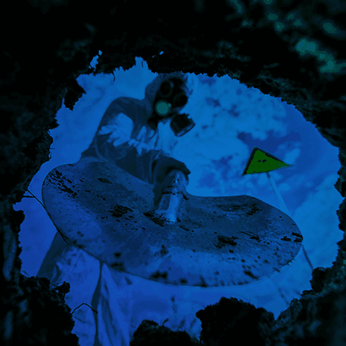 Decide What Comes Next