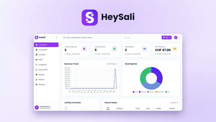 Heysali: İsviçre Merkezli Bir B2B Satış Erişim Platformu Kurmak