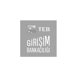TEB Girişim Bankacılığı logo